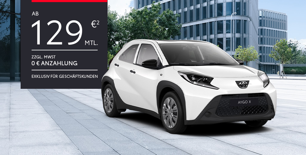 Aygo Alltagshelden Desktop